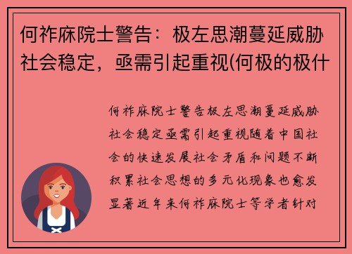 何祚庥院士警告：极左思潮蔓延威胁社会稳定，亟需引起重视(何极的极什么意思)